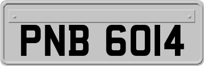 PNB6014