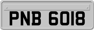 PNB6018