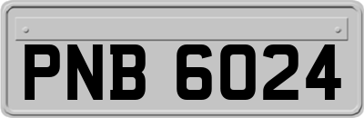 PNB6024