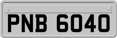 PNB6040