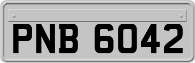 PNB6042