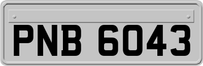 PNB6043