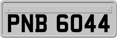 PNB6044