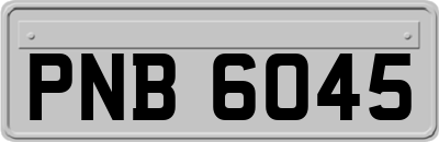 PNB6045
