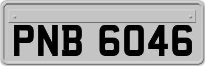 PNB6046