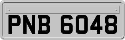 PNB6048