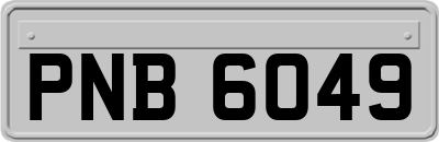 PNB6049