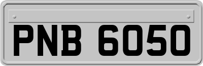 PNB6050