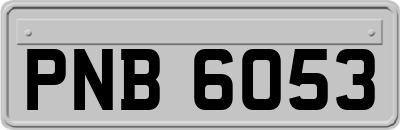 PNB6053