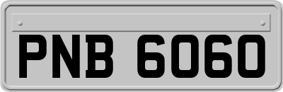 PNB6060