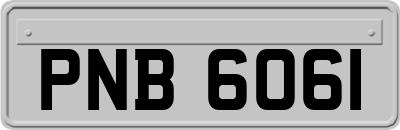 PNB6061