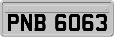 PNB6063