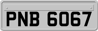 PNB6067
