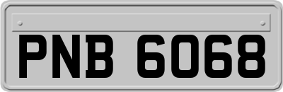 PNB6068