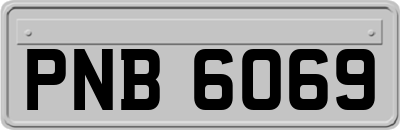 PNB6069