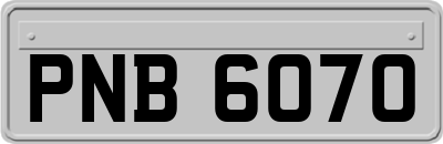 PNB6070