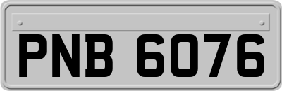PNB6076