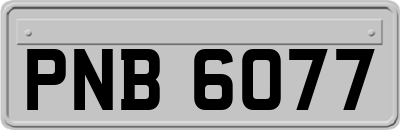 PNB6077