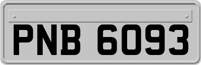 PNB6093