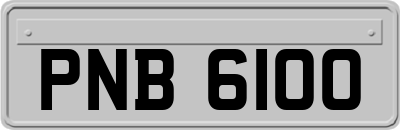 PNB6100