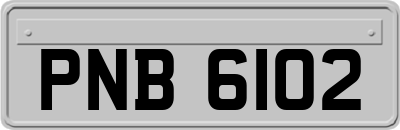 PNB6102