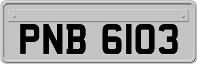 PNB6103