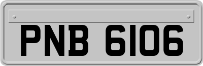 PNB6106