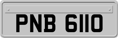 PNB6110
