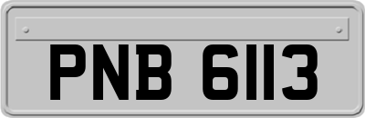 PNB6113