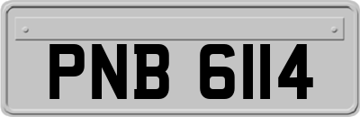 PNB6114