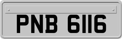 PNB6116