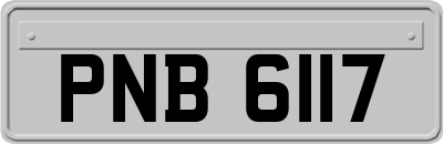 PNB6117