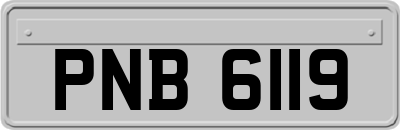 PNB6119