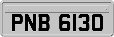 PNB6130