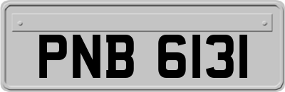 PNB6131
