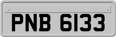 PNB6133