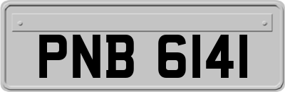 PNB6141