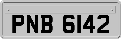 PNB6142