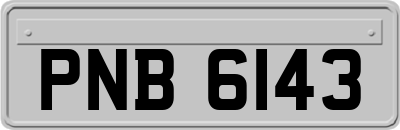 PNB6143