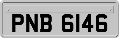 PNB6146