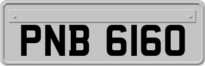PNB6160