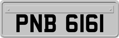 PNB6161