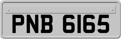 PNB6165