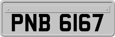 PNB6167