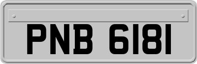 PNB6181
