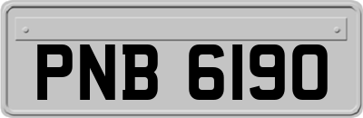 PNB6190