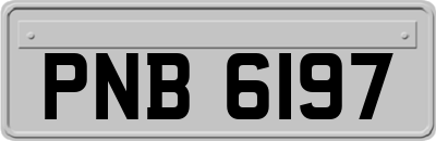PNB6197