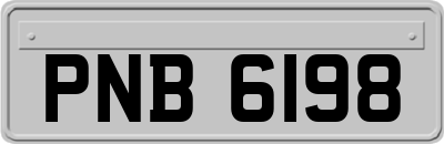 PNB6198