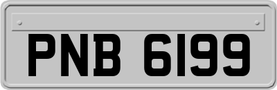 PNB6199