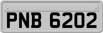 PNB6202